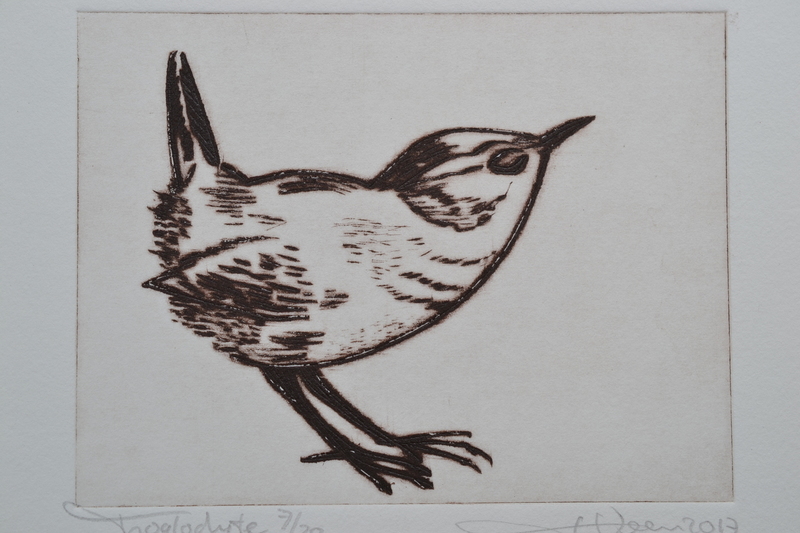 Winterkoninkje / Troglodyte