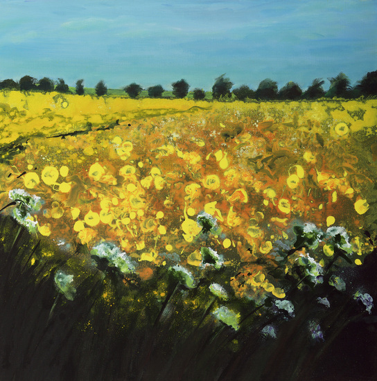 Gele velden in Cambridgeshire I