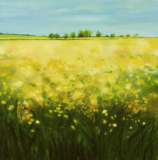 Gele velden in Cambridgeshire II