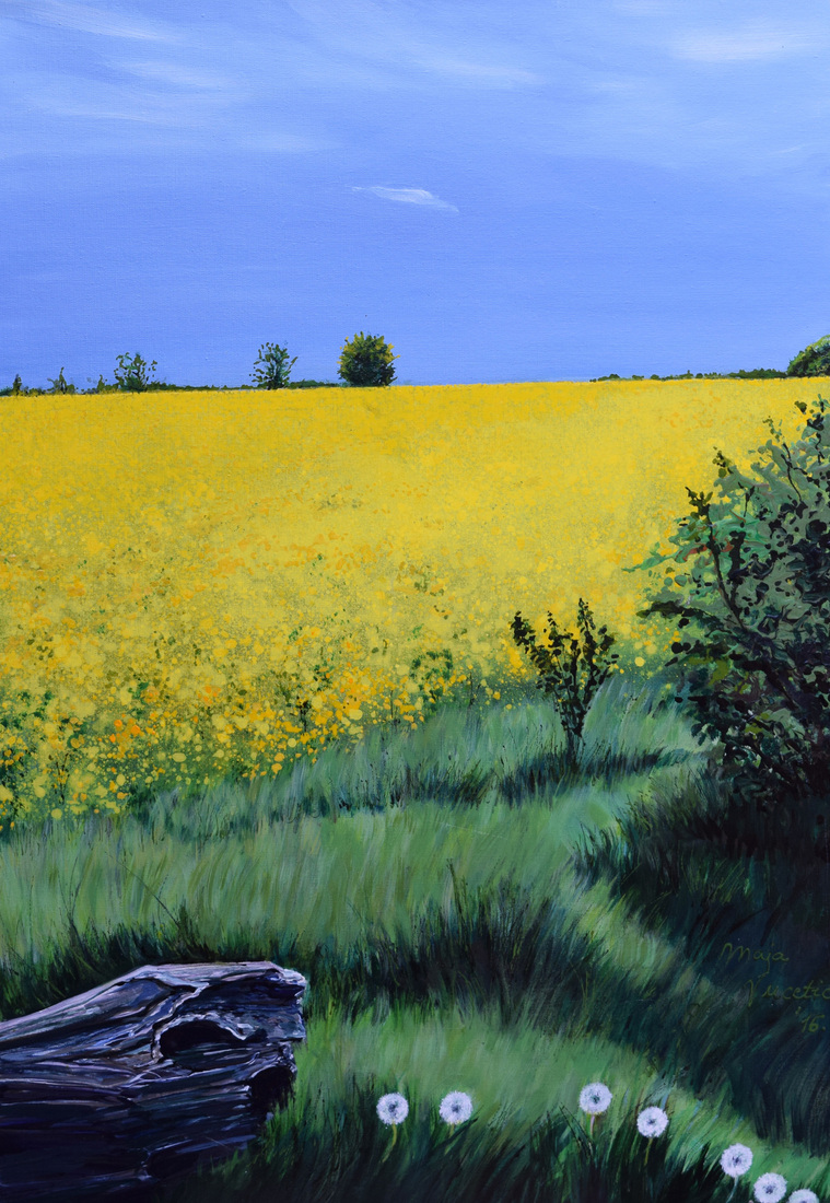 Yellow field of Darlington