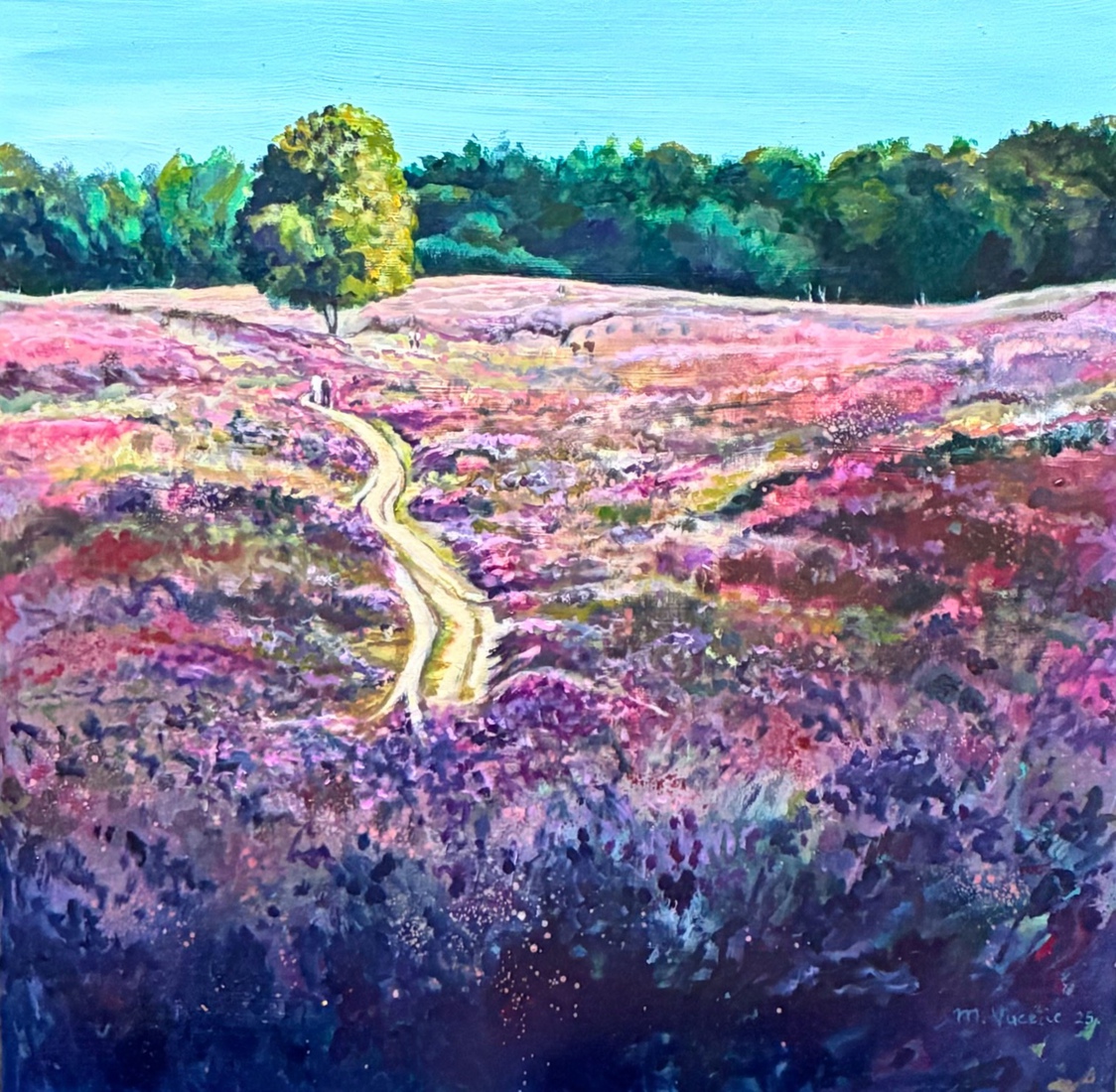 Wandeling door de Gasterse duinen