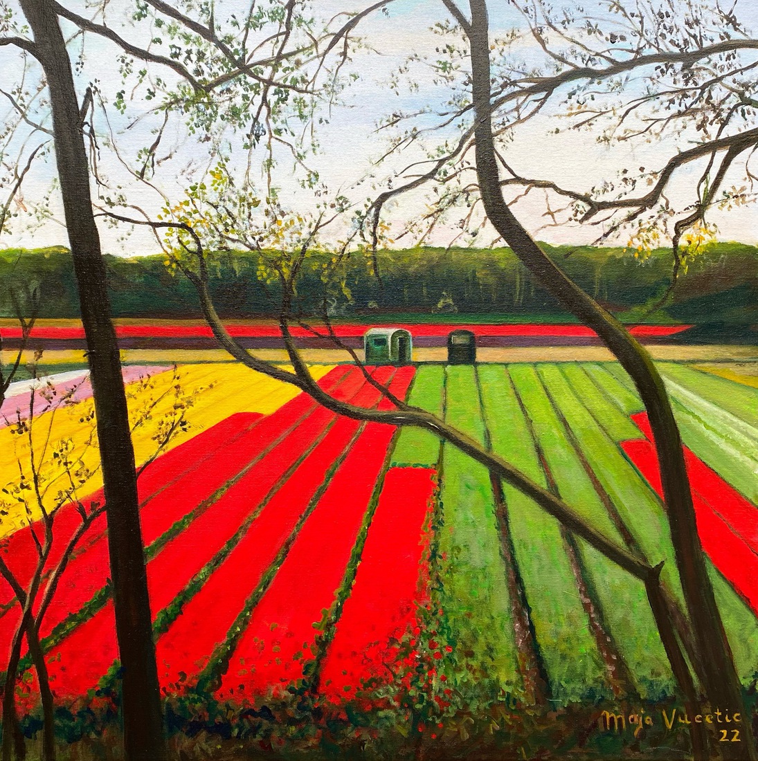 Tulpenvelden bij Vogelenzang