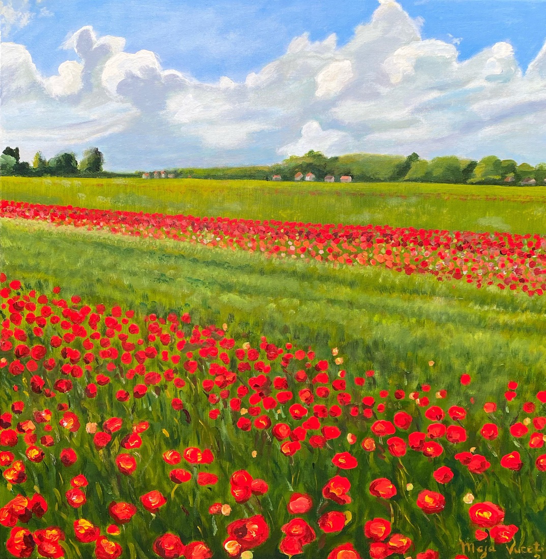 Tulpenvelden bij Egmond