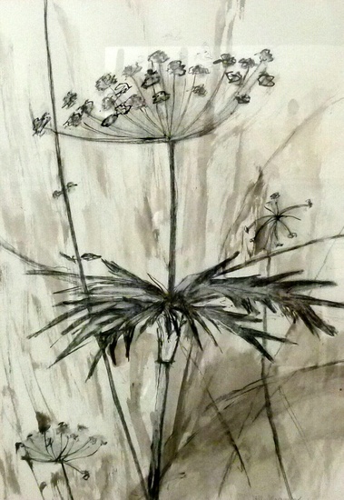 houtskool berenklauw