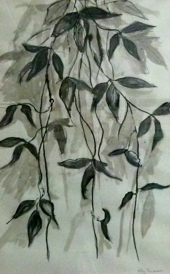 houtskool clematisblad