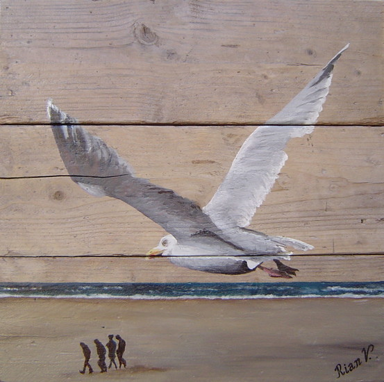 Meeuw boven strand
