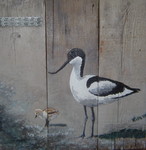 Dieren in de omgeveing van het strand of de boerderij