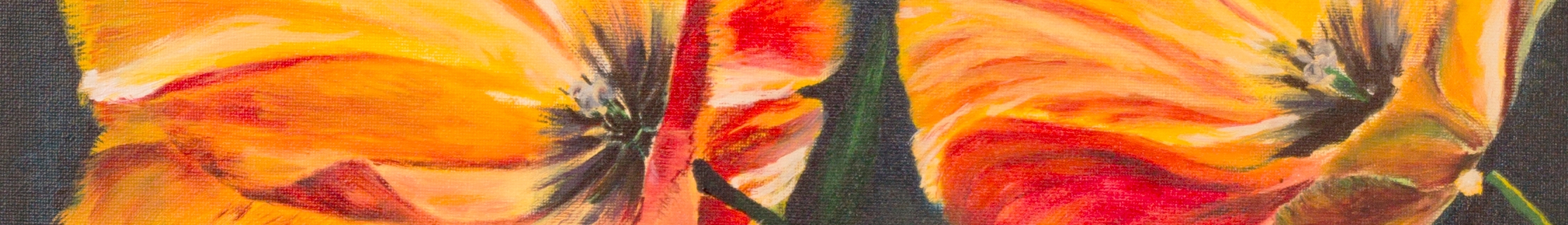 Bernadet Raamsteeboers