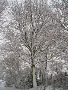 Expositie Wijkesteijn 2019/2020: werken in soft pastel en mixed media.
Sommige originelen zijn te koop. Alles is in kunstprint verkrijgbaar. Zie Kunstshop voor prijzen en formaten. 