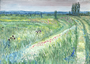 periode 2024 tot 2026