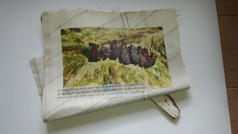 Clovelly & Lime Regis