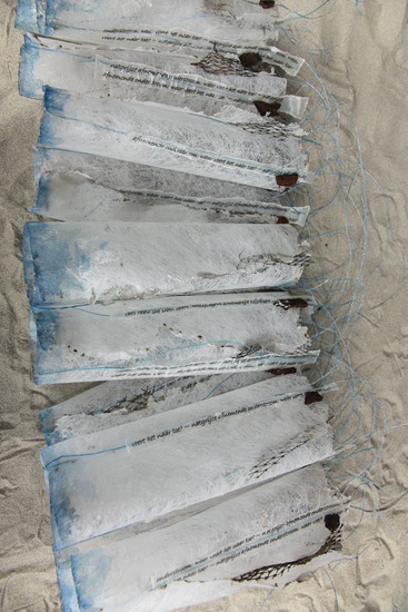 zandloper, detail liggend