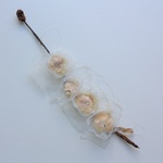 Bij de Duitse Waddeneilanden gevonden: roestige, stalen pennen. De kunstenaar heft er zeeteksten en schelpen op bevestigd. Het resultaat is een fragiele boog met een sterk contrast tussen het ruwe staal en de tere schelpen.