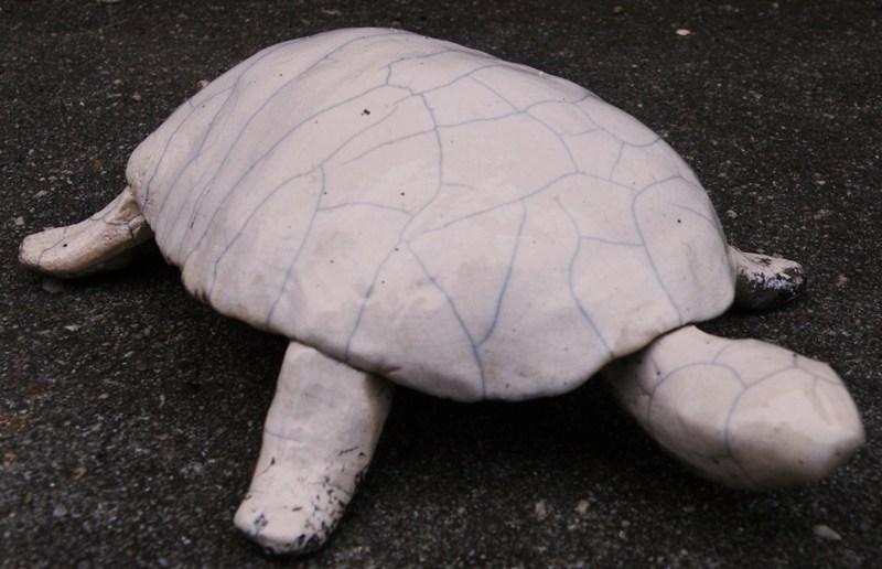 schildpad raku gestookt