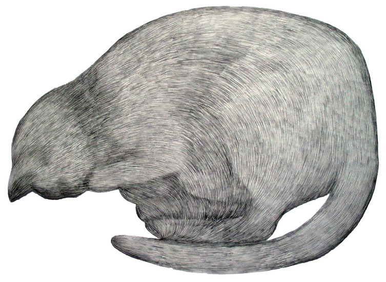 Oude poes tekening 1