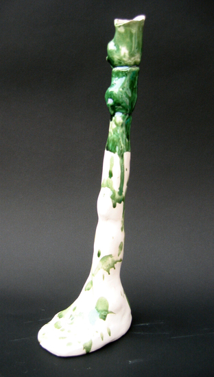 Eenvoeter groenhoofd