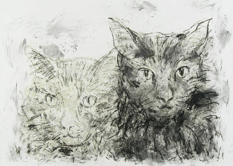 kattenpaar