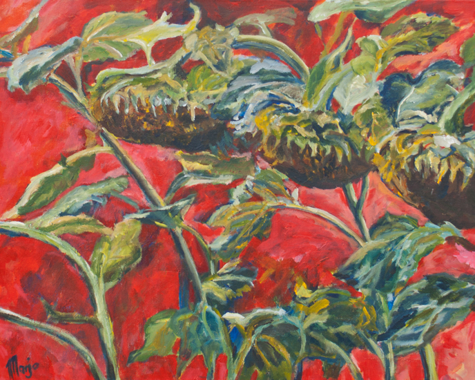 uitgebloeide zonnebloemen