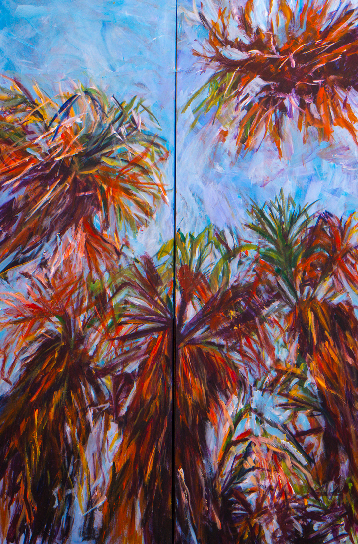  Anza Borego Desert Californa   USA