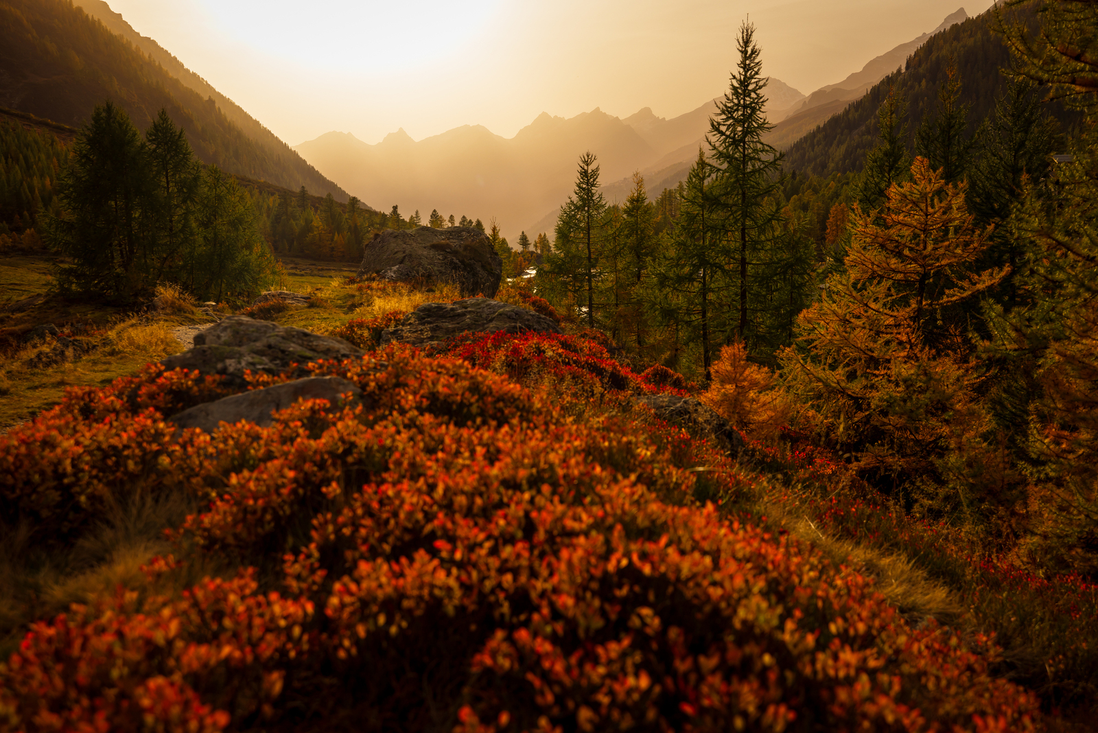 Lötschental - Wallis - Switzerland