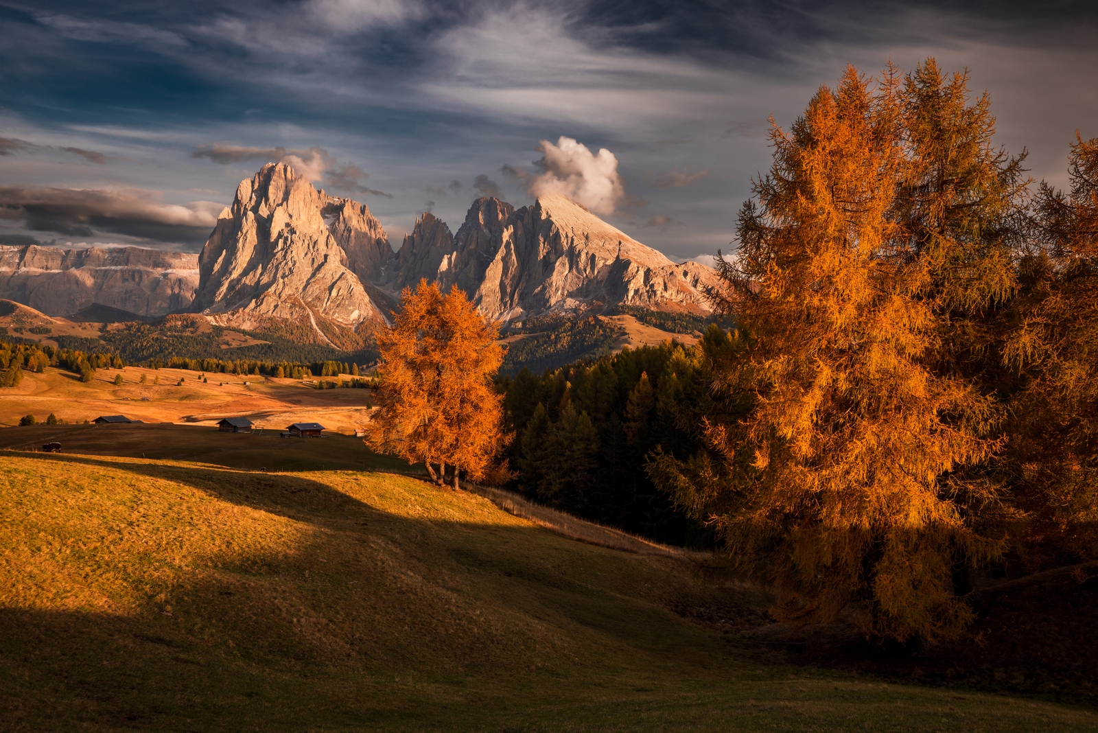 Alpe di Siusi - Südtirol - Italy