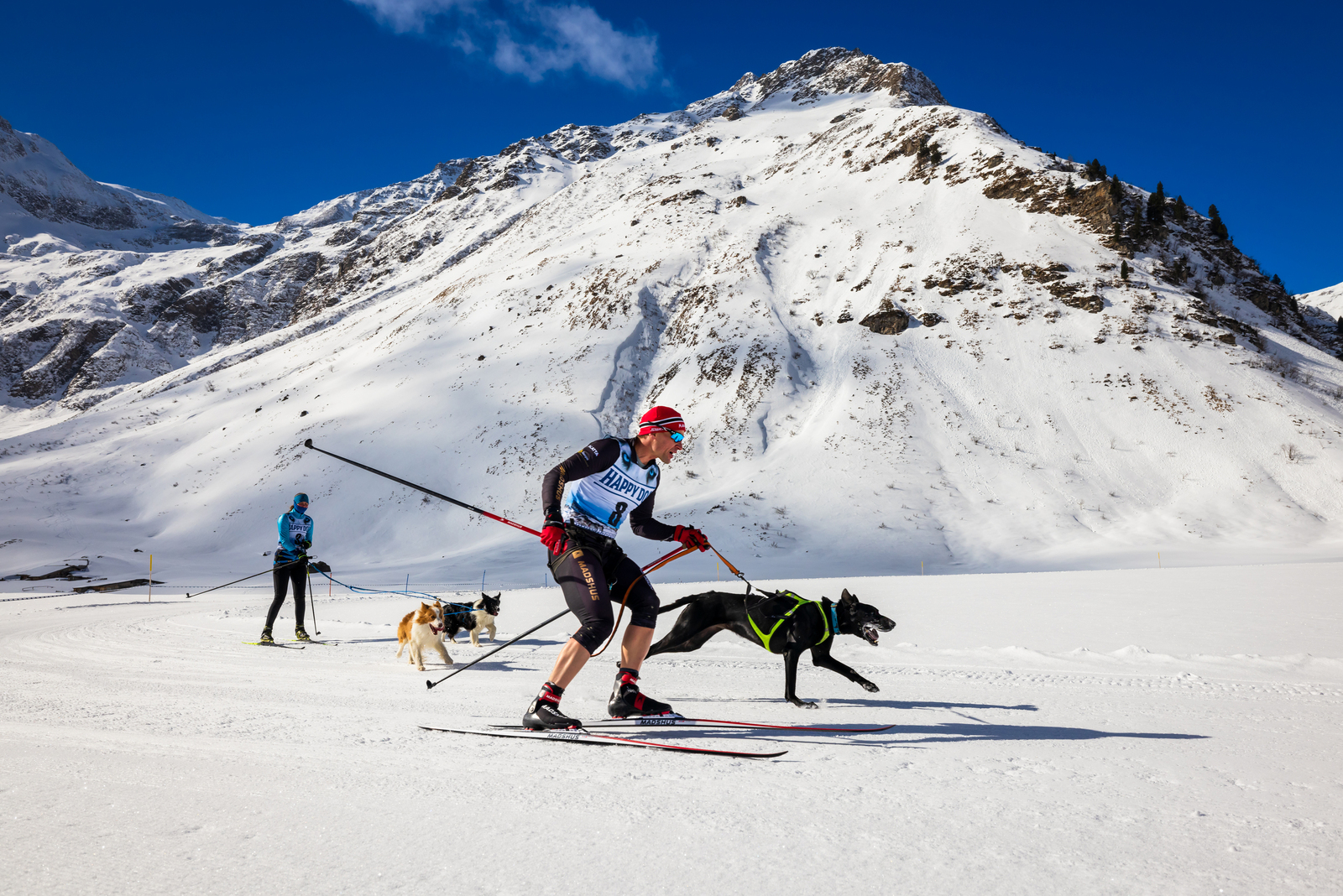 Internationales Schlittenhunderennen Sportgastein 2023 Tag 1 - Skijöring