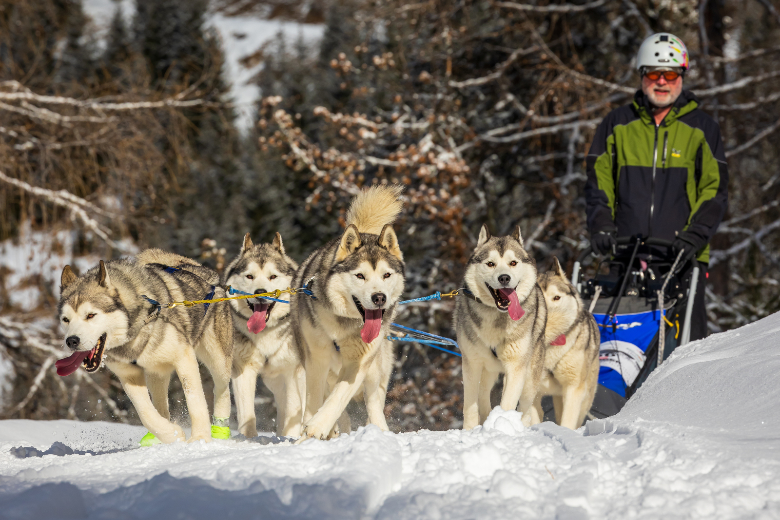 International Nockberge Longtrail Innerkrems, Kärnten 25-02-2023
