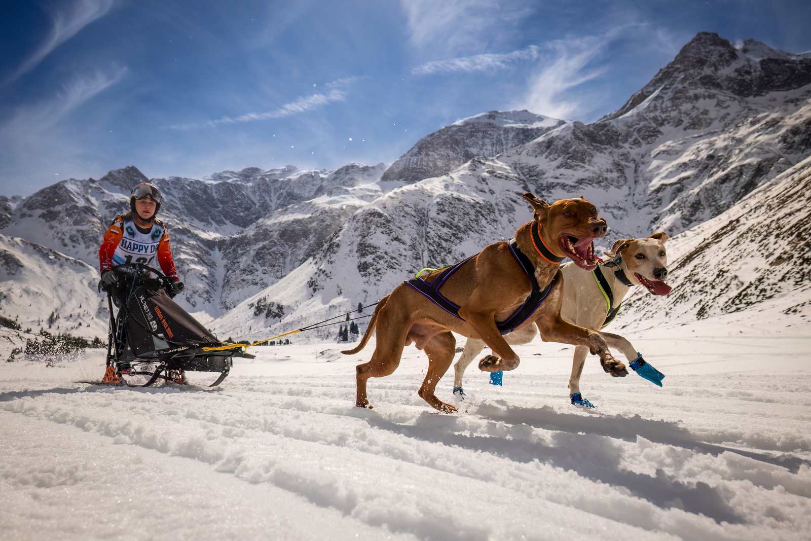 Schlittenhunderennen Sportgastein 2025 Tag 1