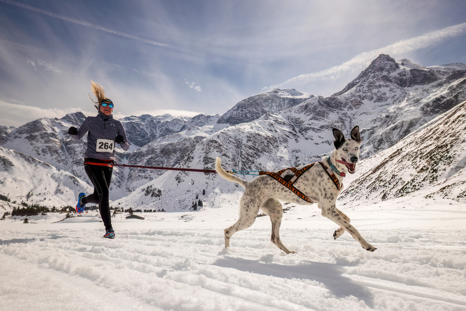 Schlittenhunderennen Sportgastein 2025 Tag 1 - Canicross