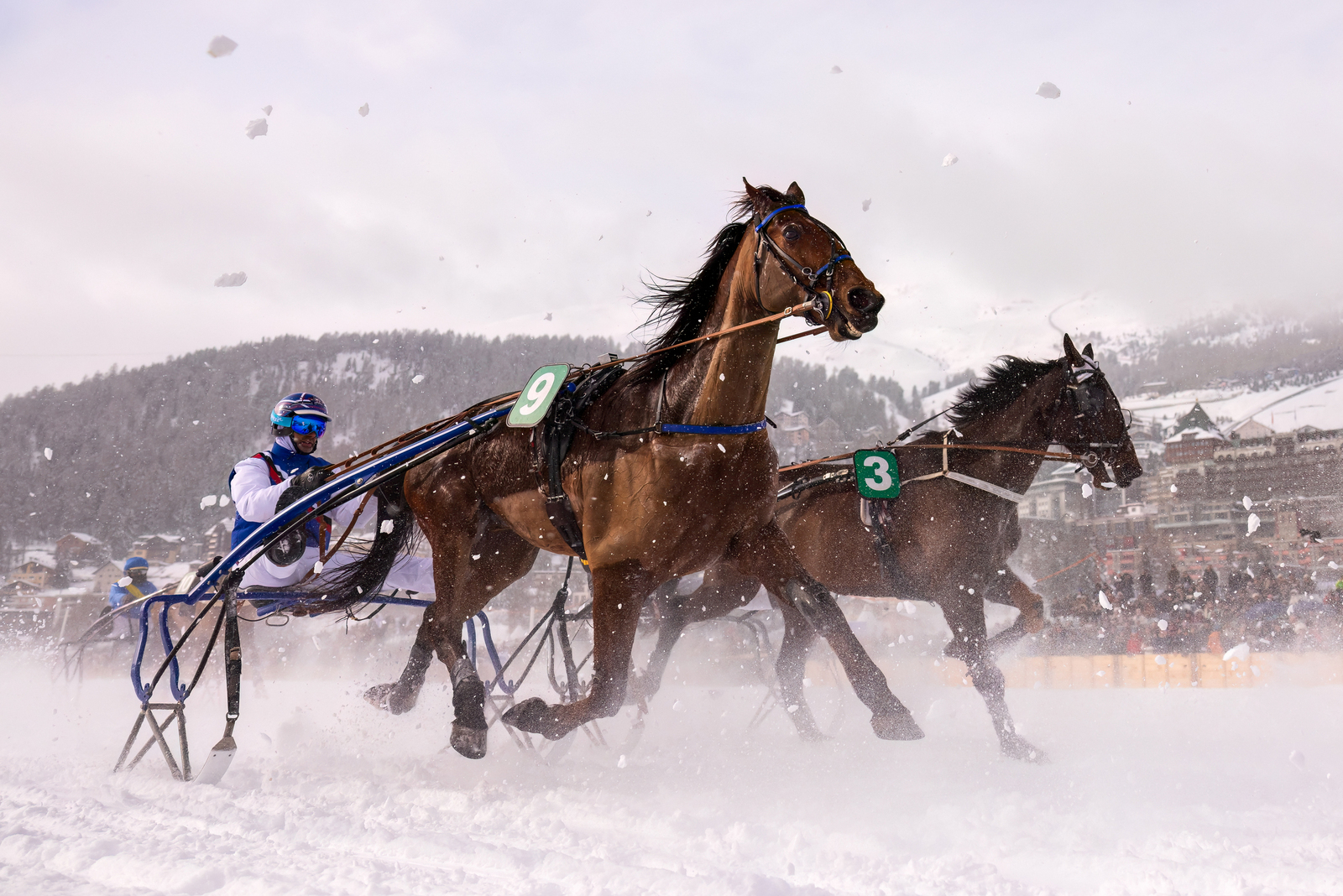 White Turf 2025 St. Moritz  - Trabrennen