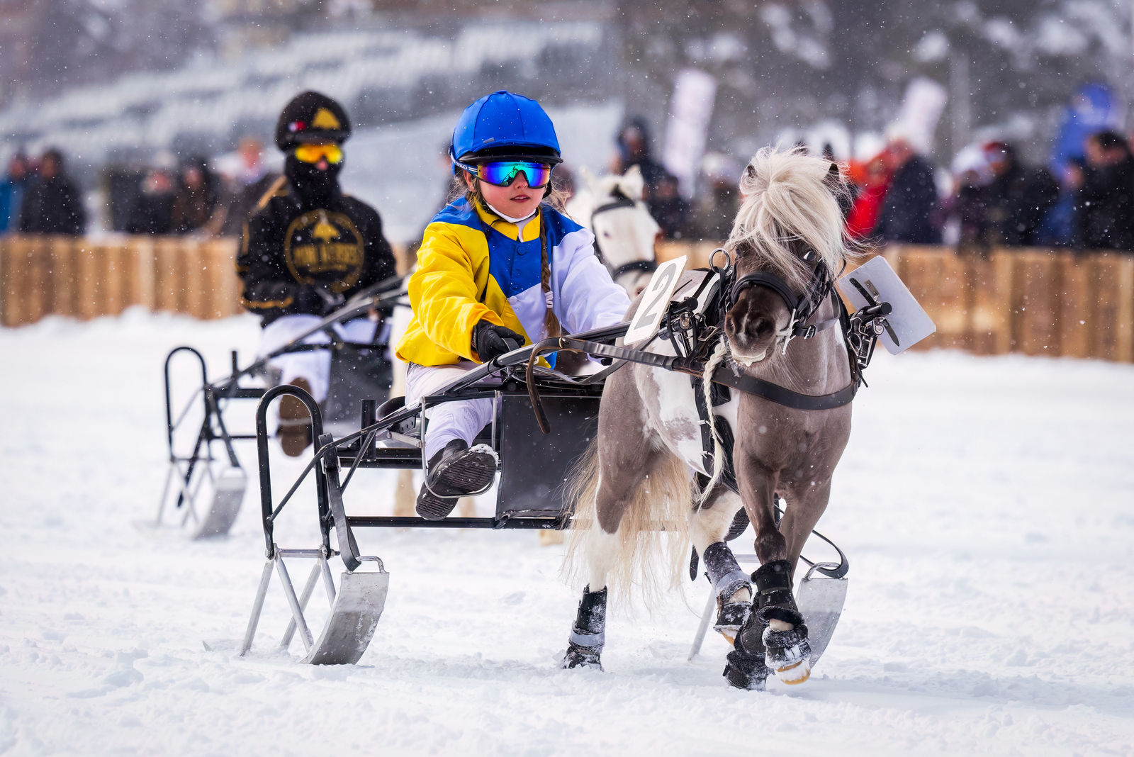 White Turf 2025 St. Moritz -  Family Day 