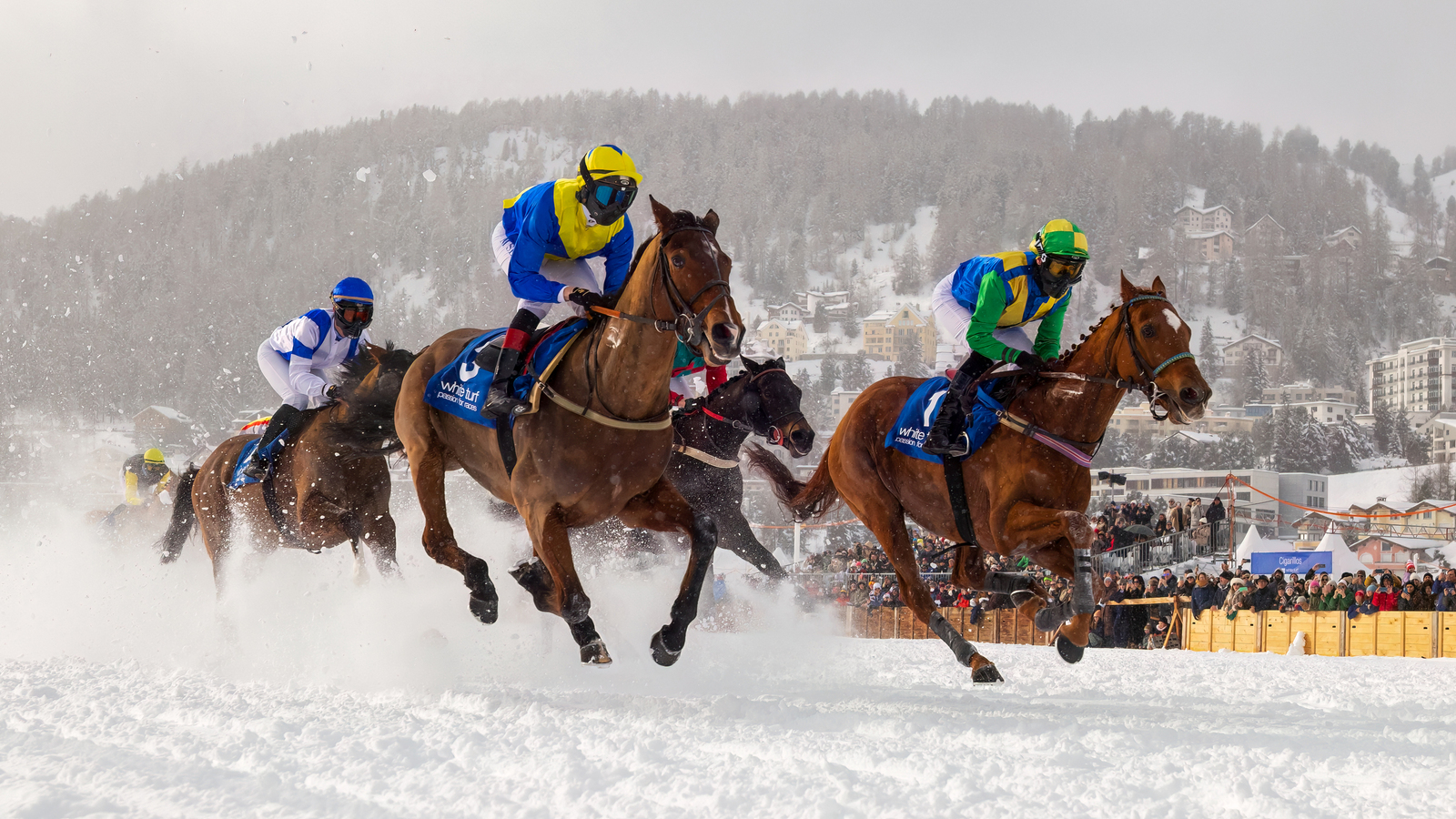 White Turf 2025 St. Moritz  - Flachrennen