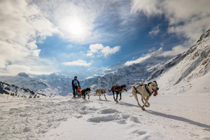 Photos of several Sled Dog races in the Alps