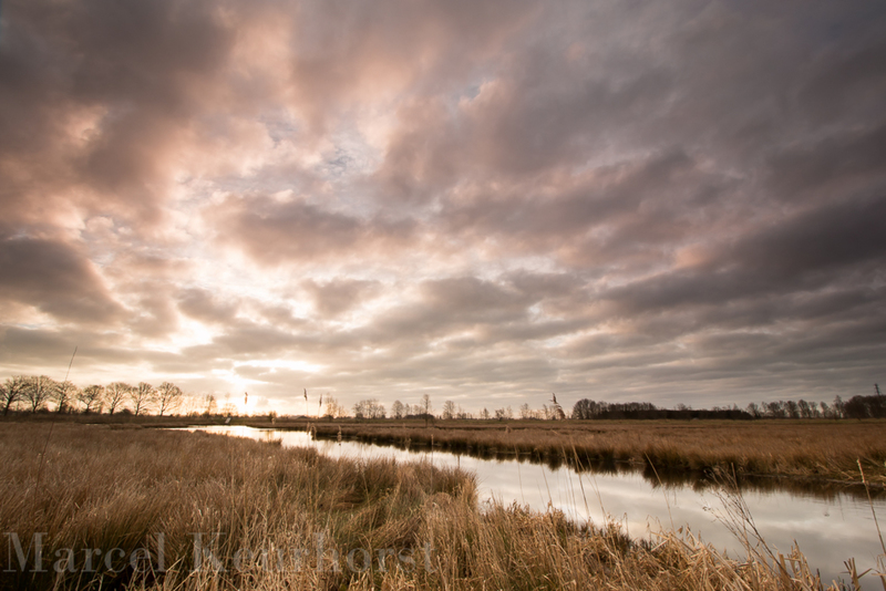 Zonsopkomst in een natuurgebied in Epe