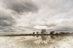 Foto's van diverse landschappen in Nederland.