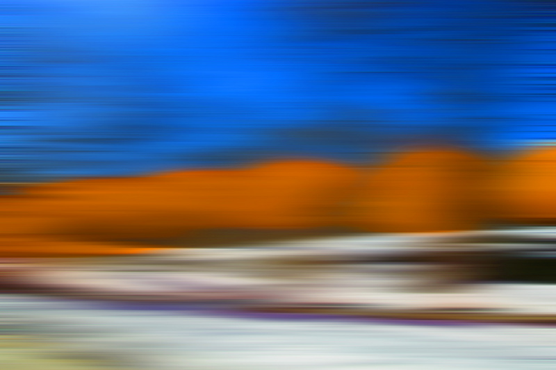 Central Park, NY & the gates project