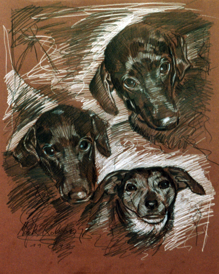 Honden - 3 Vuldigheid