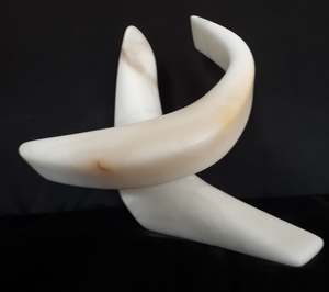 In dit project verbeeld ik gracieuze danselementen