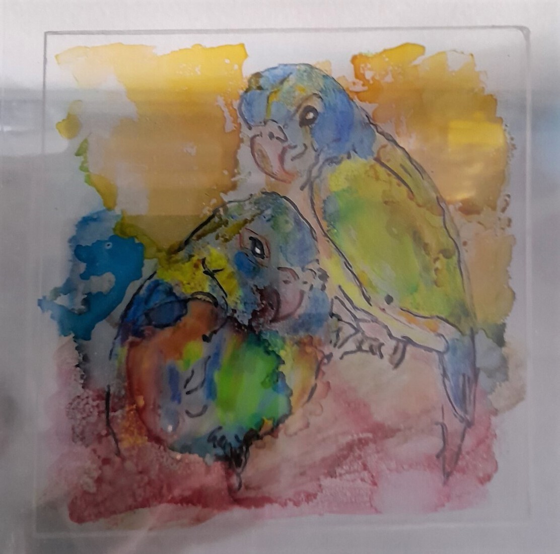 papegaaien op plastic A4