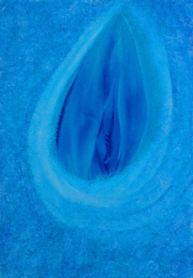 Blauwe tulp