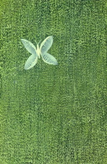Vlinder voor groene achtergrond
