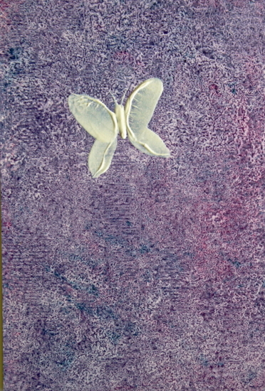 Vlinder voor paarse achtergrond 