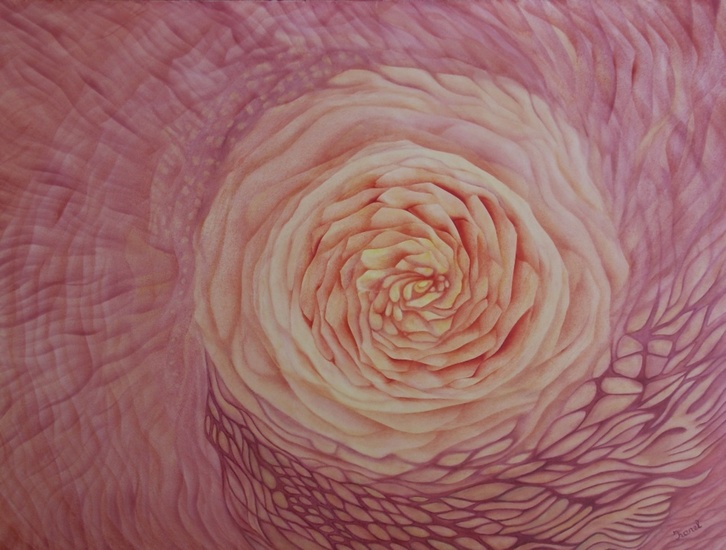 Kosmische bloem in roze