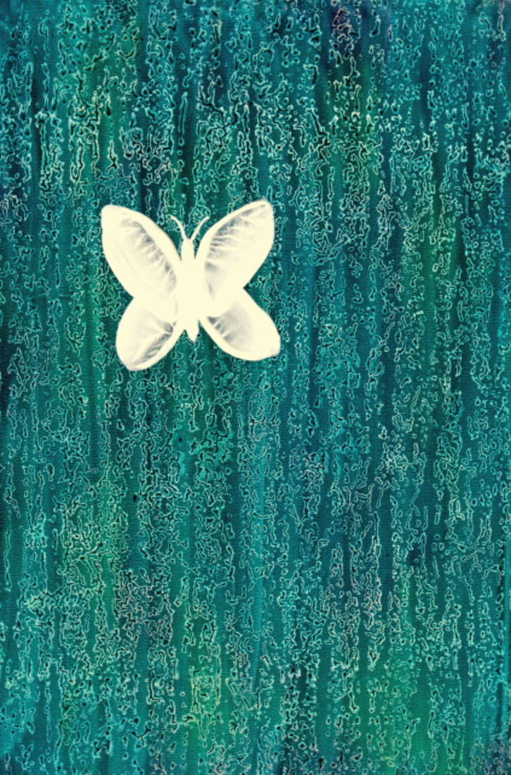 Vlinder voor donker turquoise achtergrond