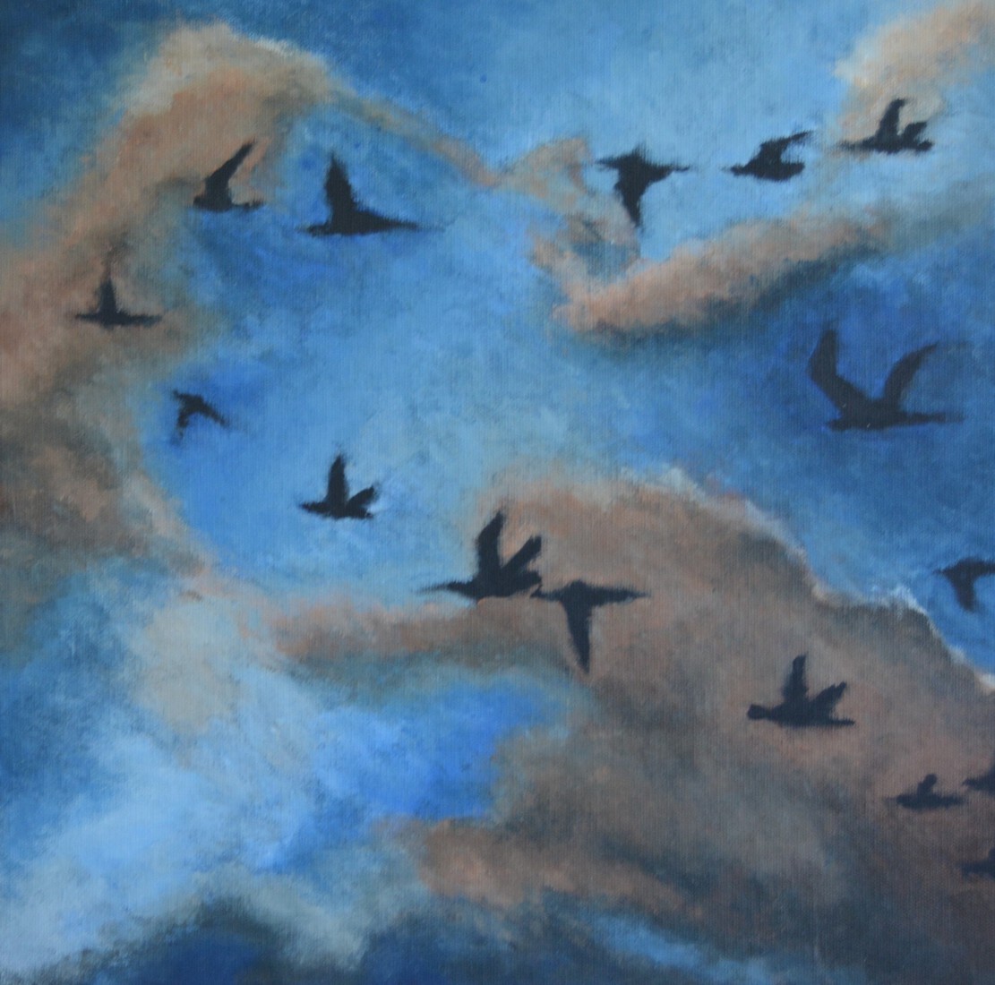 Een vlucht regenwulpen