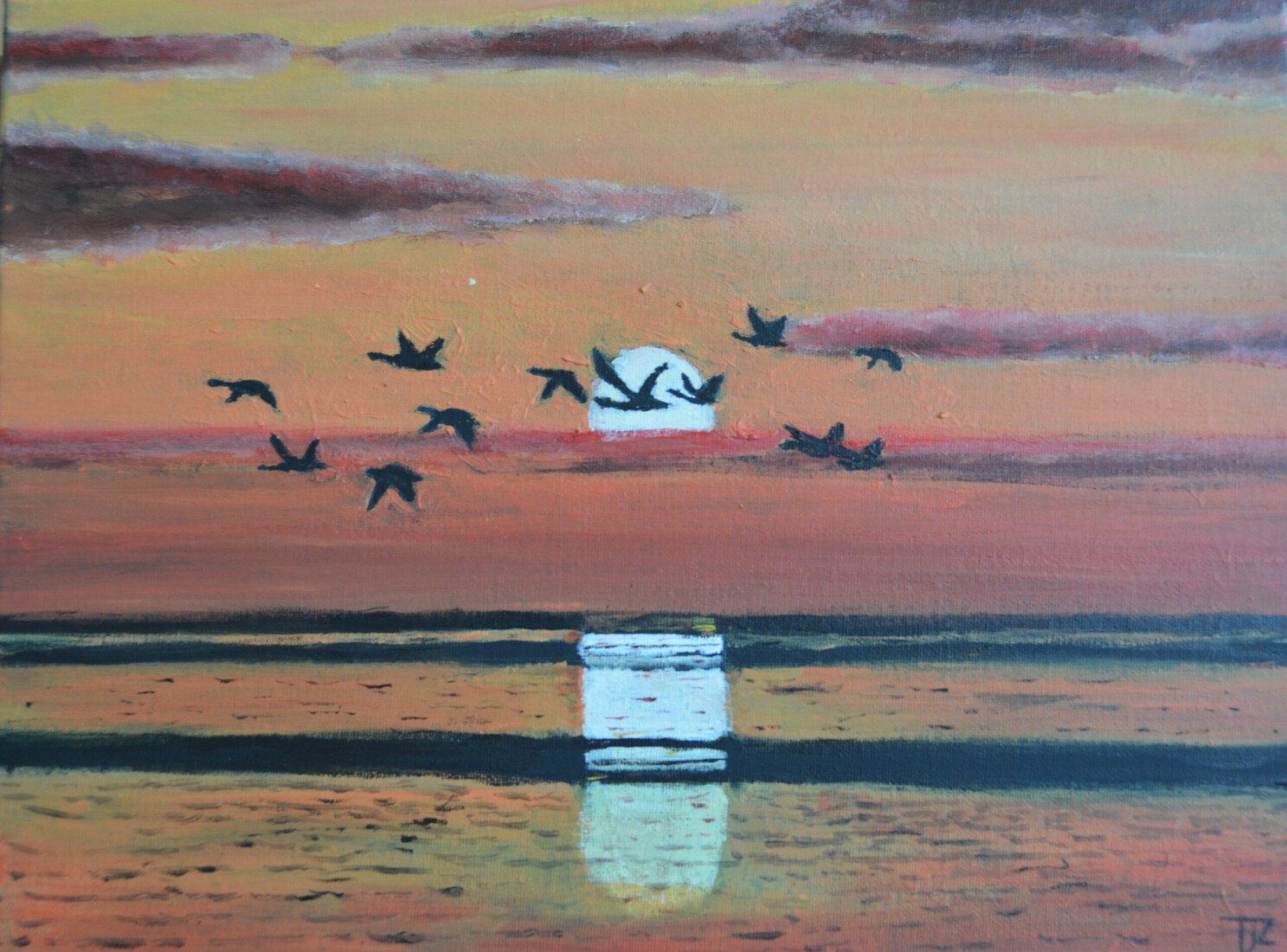 Ganzen bij ondergaande zon