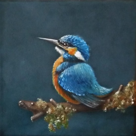 Ijsvogel