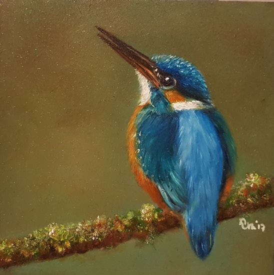 IJsvogel