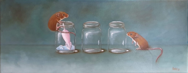 Babymuisjes