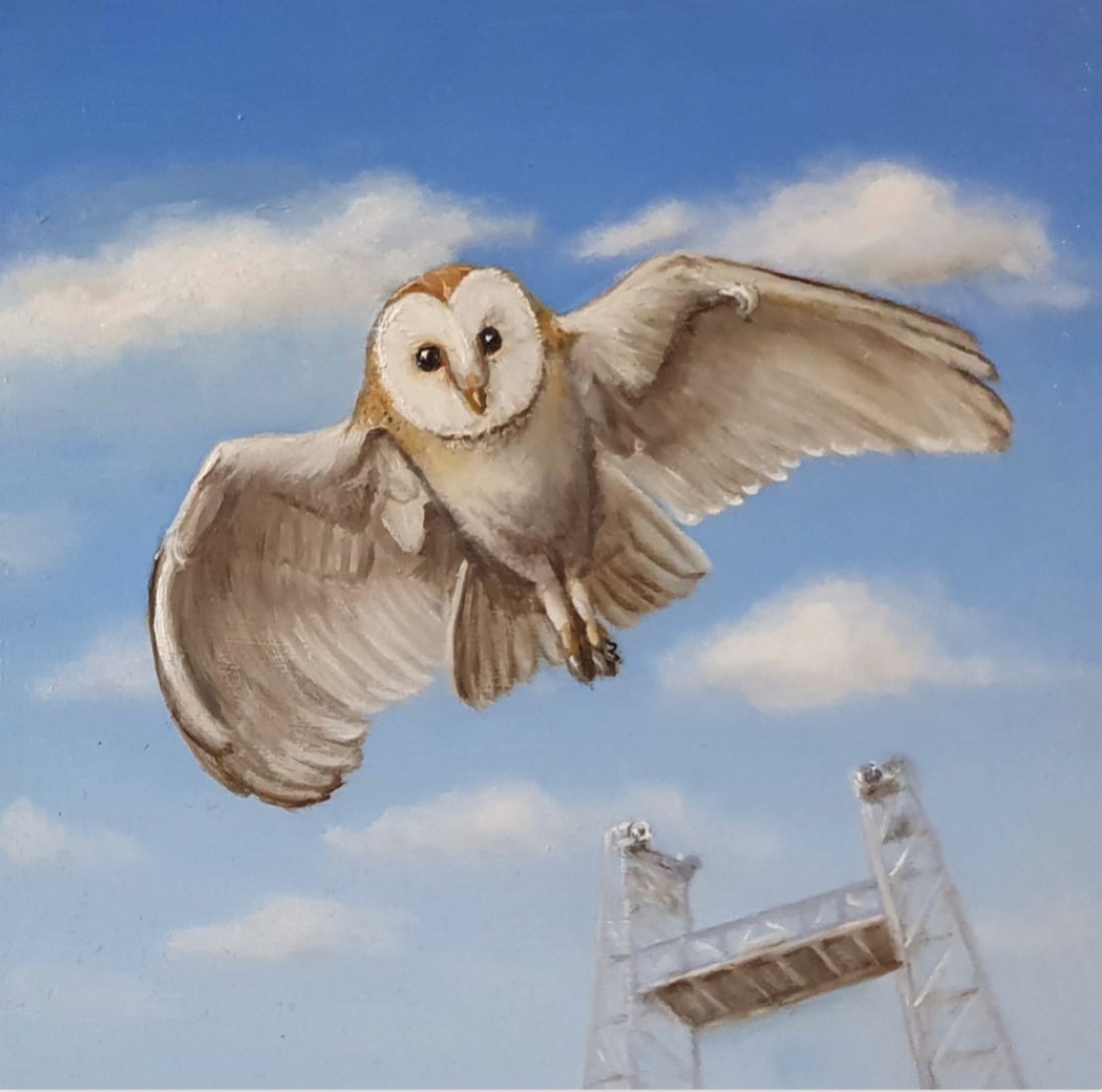 Vrij als een vogel